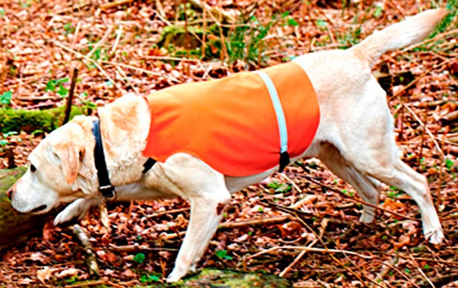 Gun Dog Vest Orange with Reflective Tape Band