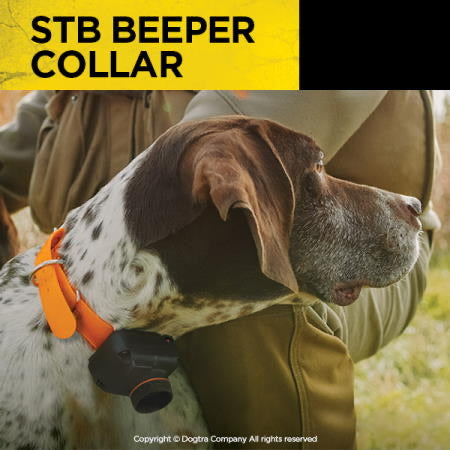 Dogtra STB BEEPER COLLAR