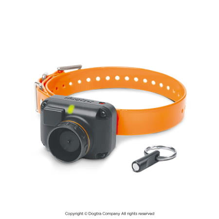 Dogtra STB BEEPER COLLAR