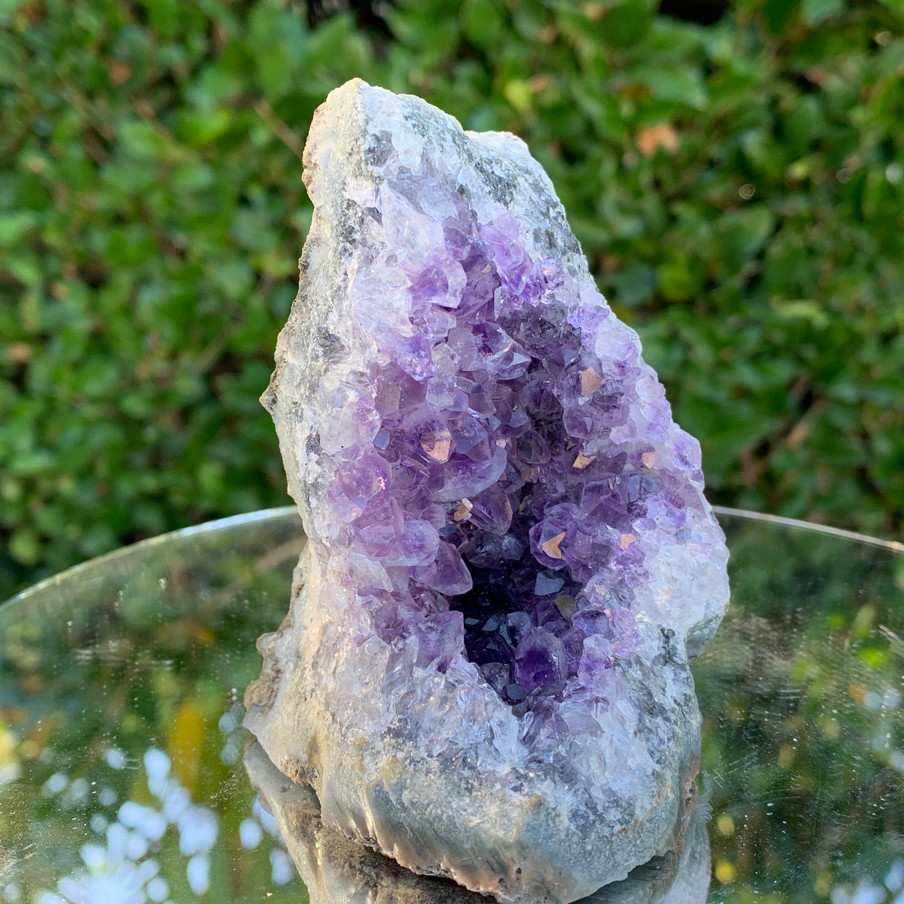 352g 10x7x7cm Purple Amethyst Cluster Cut Base from Brazil