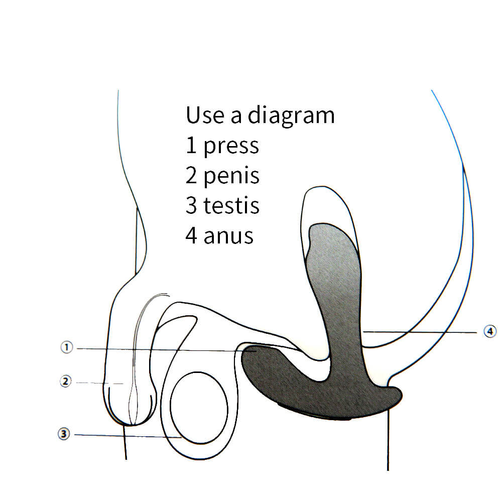 Male Stimulator Anal Vibrators for Men