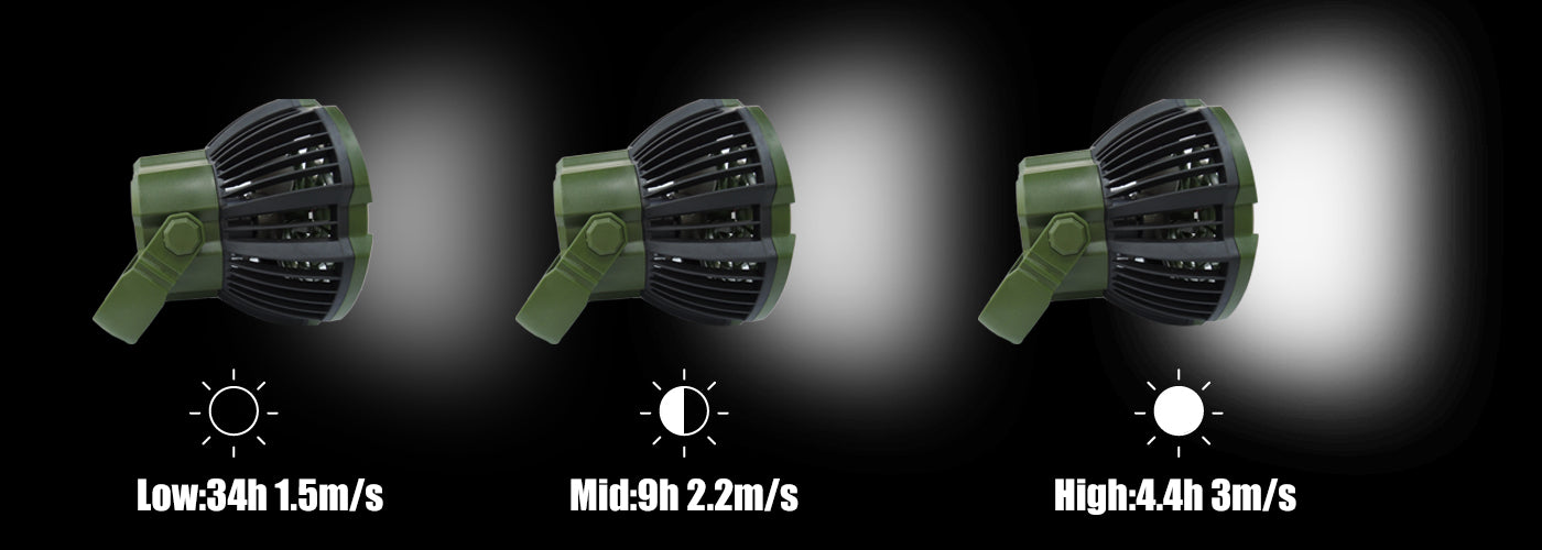 fan with light