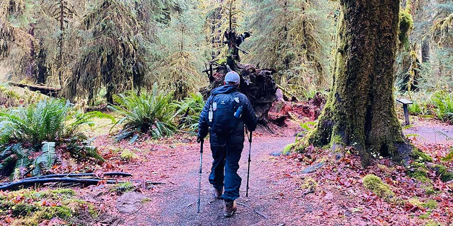 Pros and cons of hiking with trekking poles - review photo