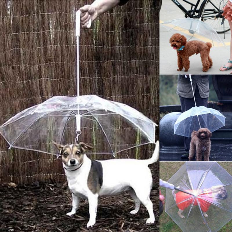 Pet Umbrella Transparent PE Small Dog Umbrella Rain Gear with Dog Leads Keeps Pet Dry Comfortable in Rain Snowing Useful