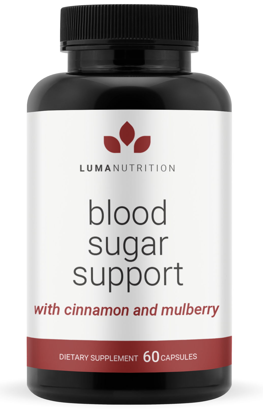 Blood Sugar Support - 6 Bottle Discount