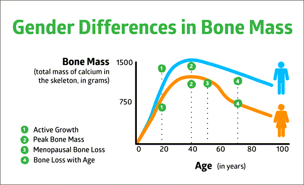 gender different in bone mass