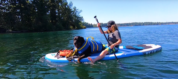 paddle boarding with your dog