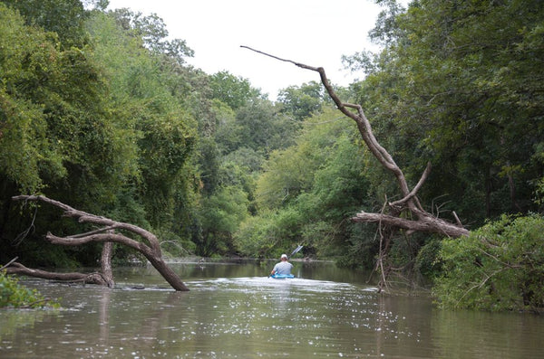 Bayou Bartholomew Paddling Trail paddle boarding in Louisiana