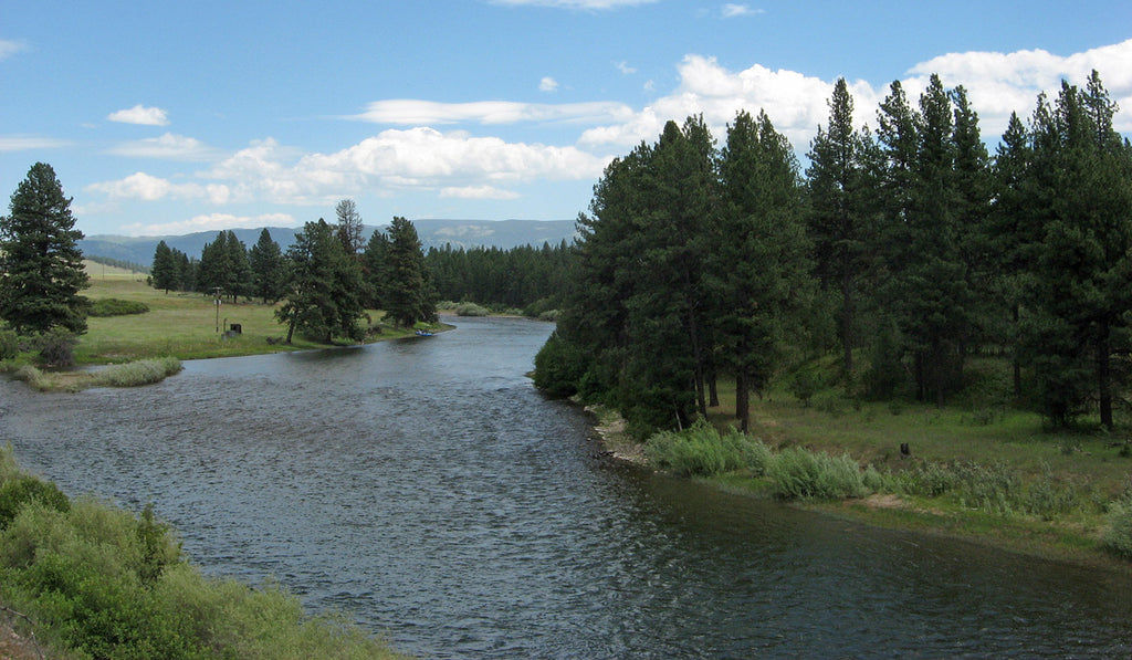 Blackfoot River paddle boarding in Montana