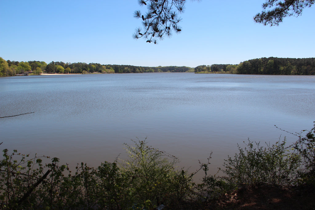 Lake Acworth paddle boarding in Georgia