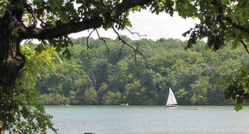 Shawnee Mission Park paddle boarding in Kansas