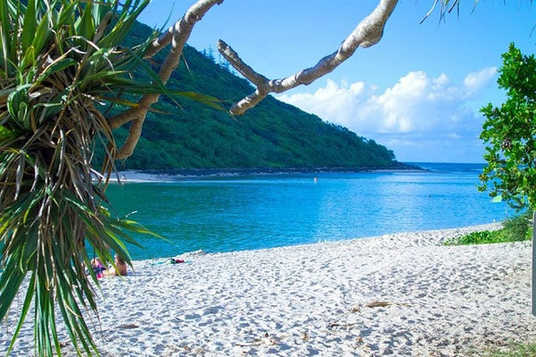 Paddle Boarding Tallebudgera