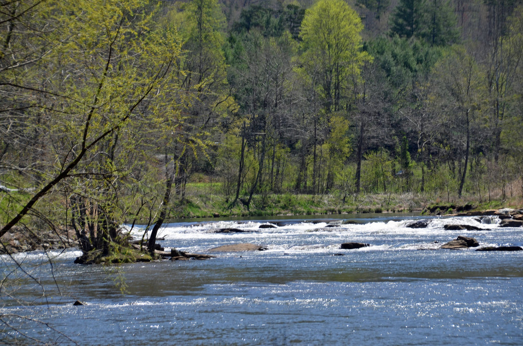 Tuckasegee River paddle boarding in North Carolina