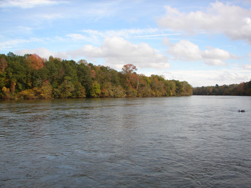 catawba river paddle boarding in Charlotte NC