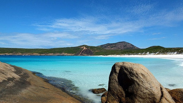 paddle boarding hellfire bay