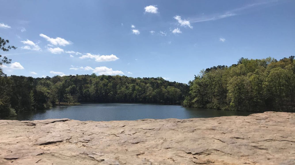 Lake Nicol paddle boarding in Alabama