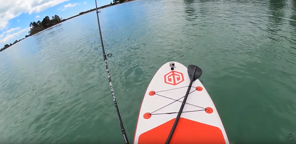 Paddle Boarding In Sacramento