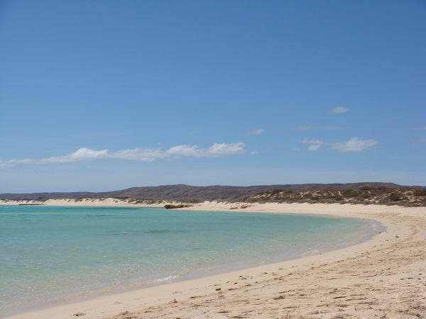 sandy bay west australia paddle boarding