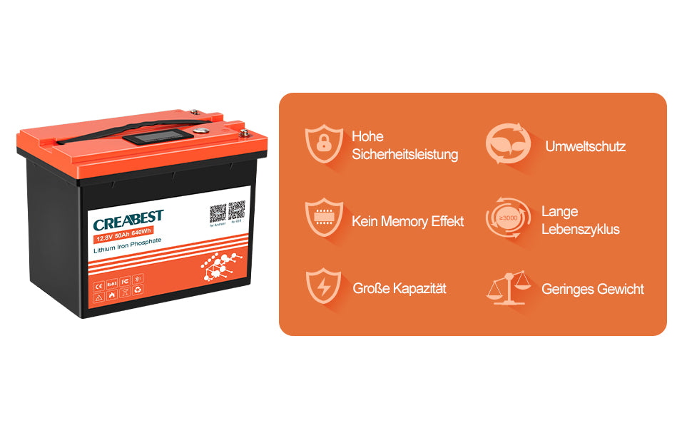 lifepo4 batterie 50ah
