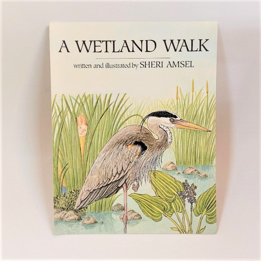 A Wetland Walk By Sheri Amsel