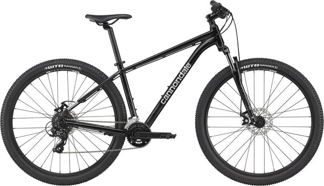 Cannondale Trail 8  29 2021