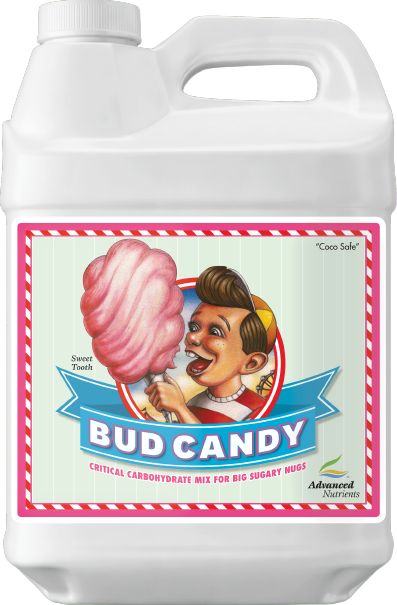 Bud Candy