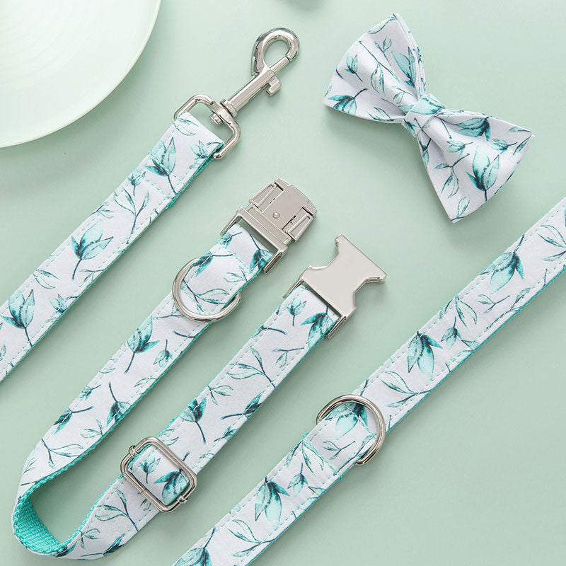 dog collar and leash and bow tie