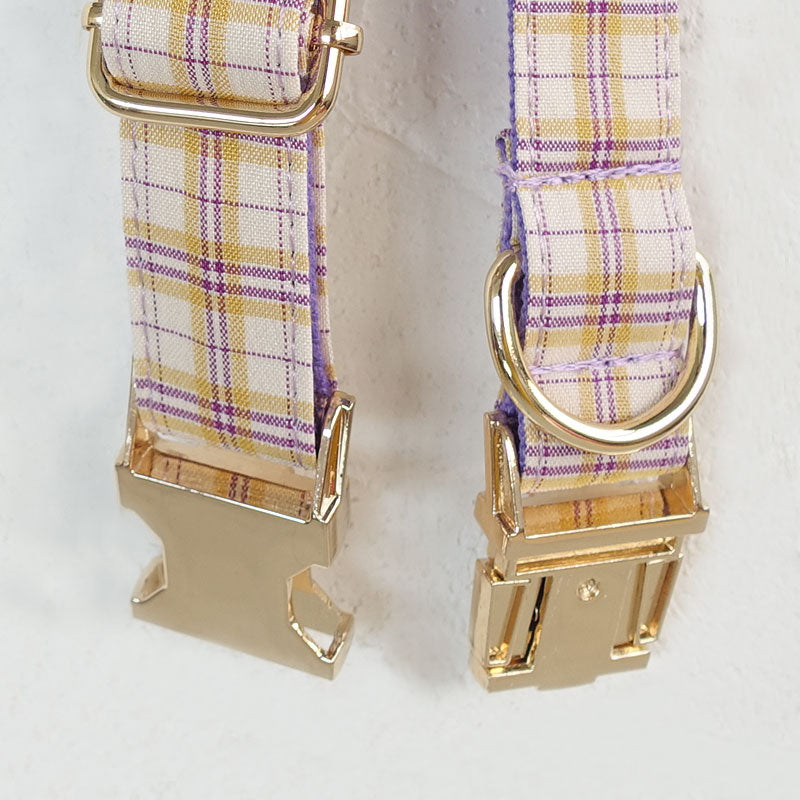 cute girl dog collar