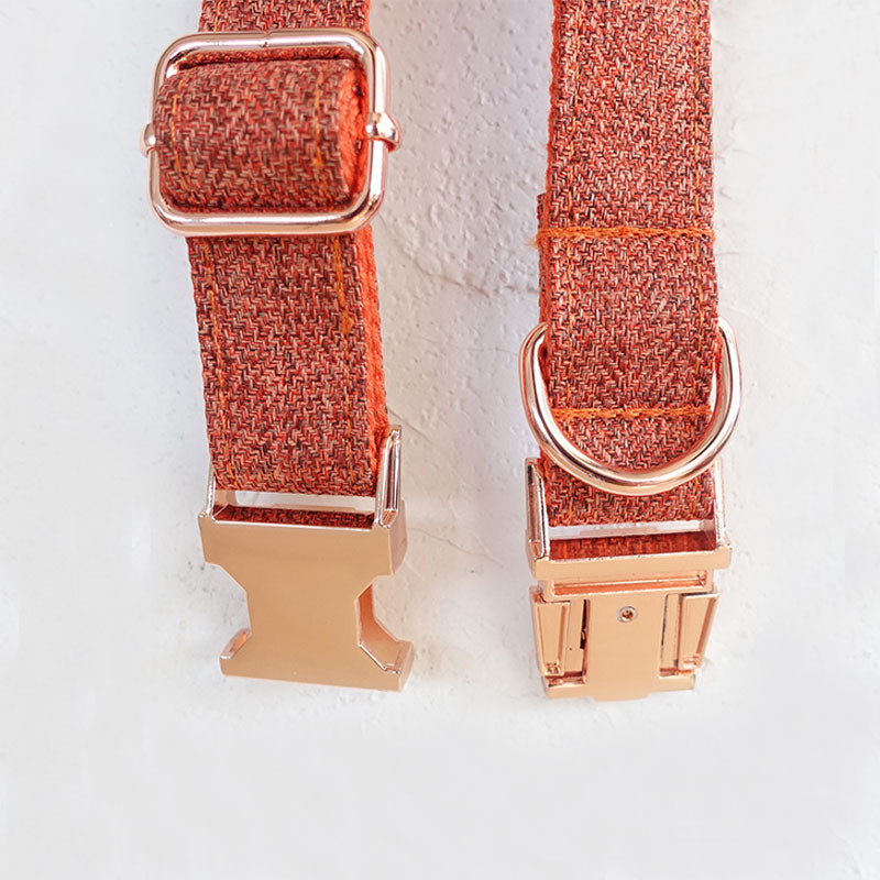 custom dog collar orange