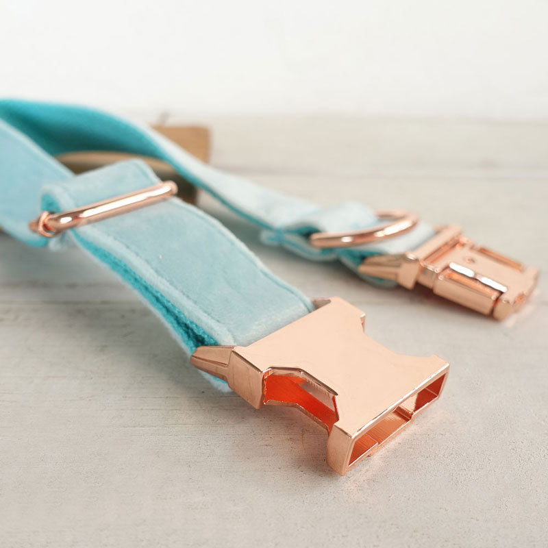 cute dog collar engraved mint blue