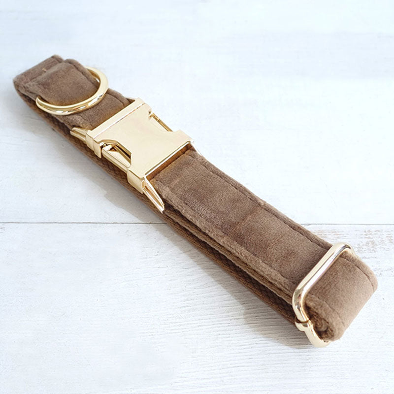 fancy dog collar personalized camel velvet
