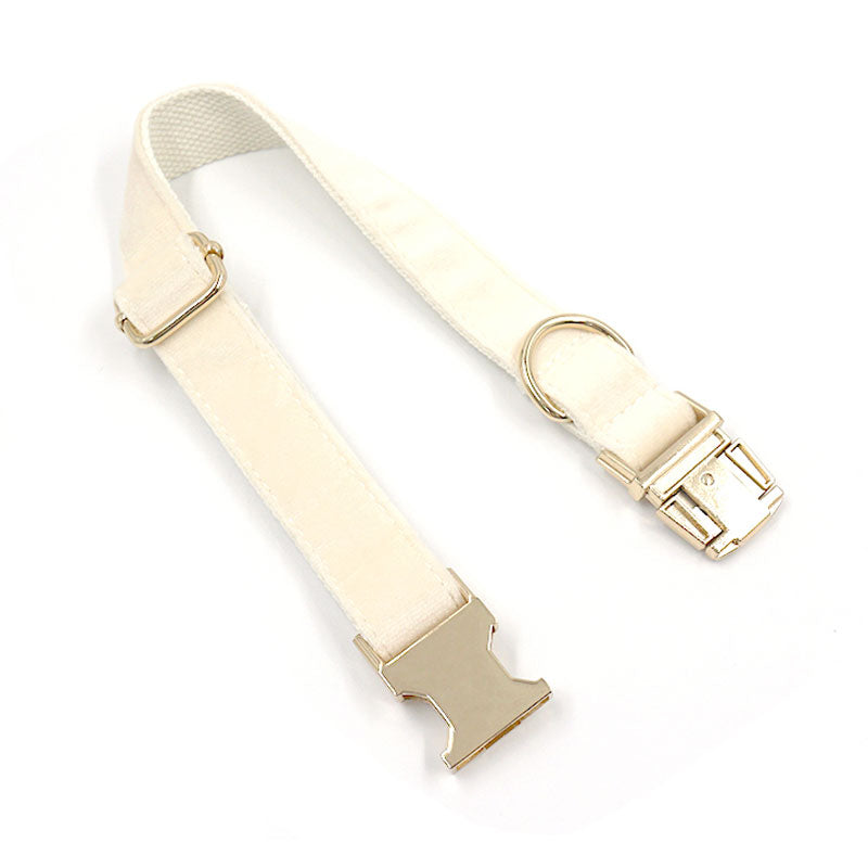 cream velvet dog collar