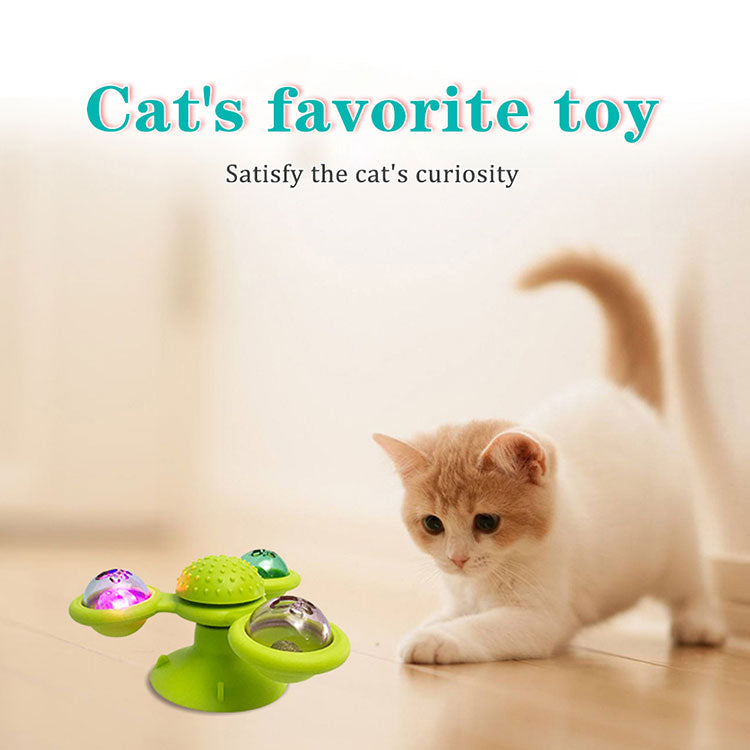 jouets et accessoires pour chats