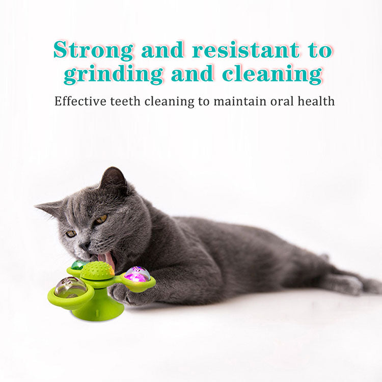 jouets à ventouses pour chats