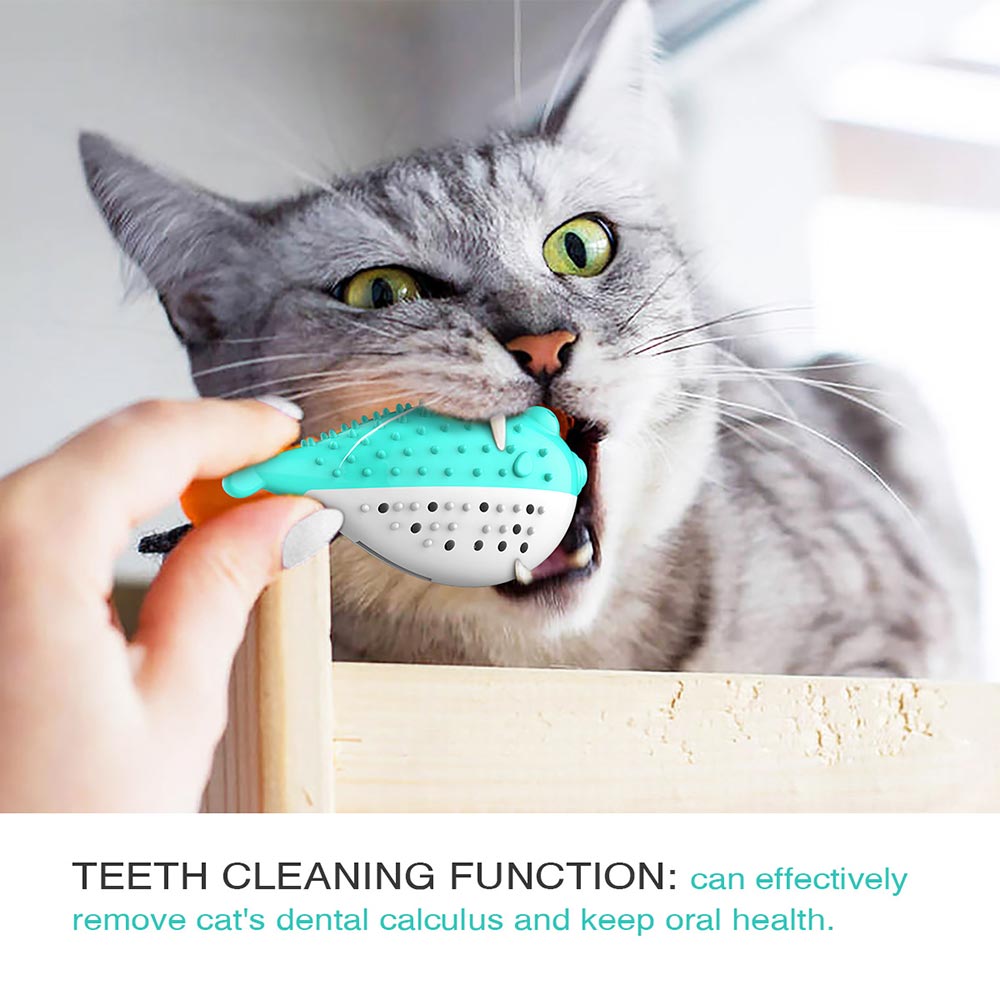 https://cdn.shopifycdn.net/s/files/1/0065/3629/8594/files/PETDURO-Cat-toys-for-indoor-cats-fish-shaped-interactive-teething-chew-toys-with-catnip-6.jpg?v=1596604880