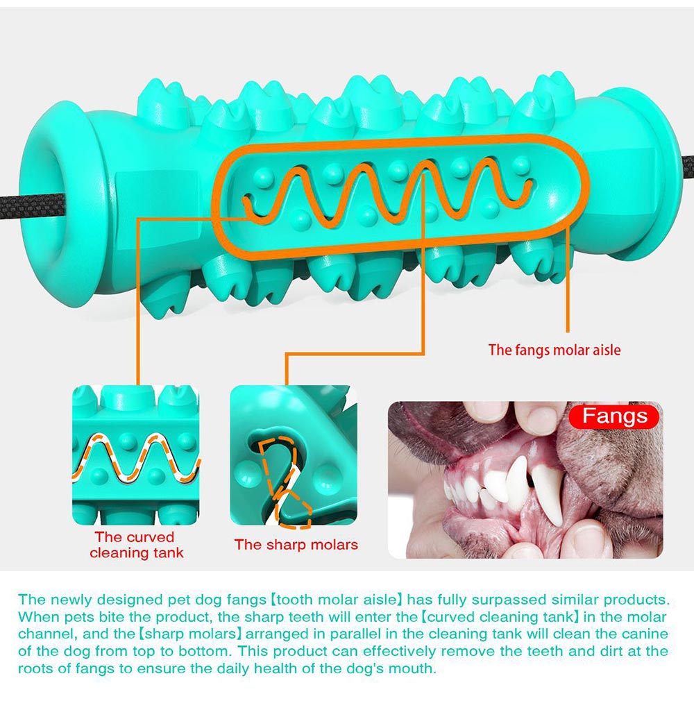 PETDURO Dog Chew Toy Indestructible Toothbrush Stick Tough Teething Tr
