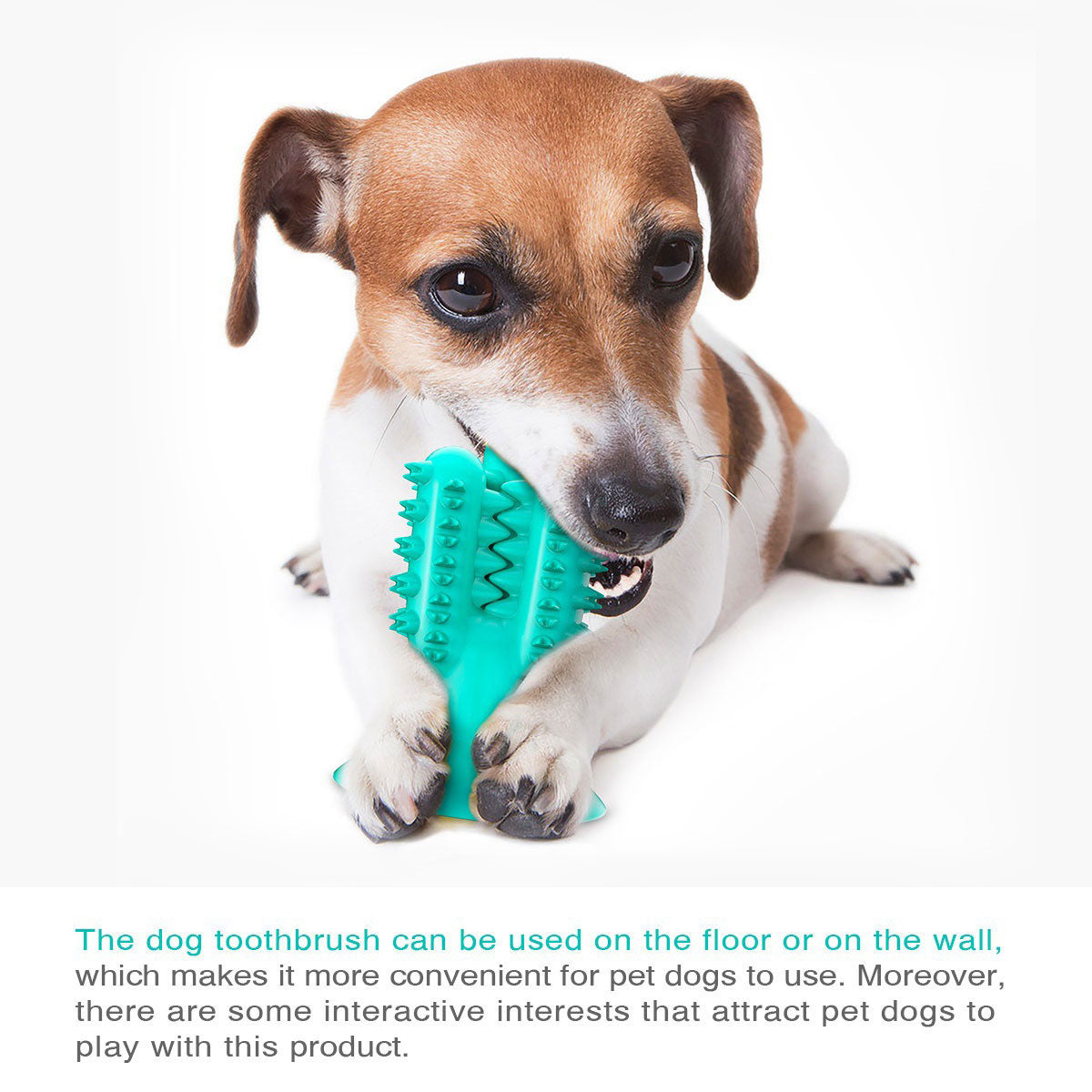 https://cdn.shopifycdn.net/s/files/1/0065/3629/8594/files/PETDURO-Dog-Chew-Toys-Indestructible-Tough-Dental-Teething-Toys-with-Rubble-Suction-Cup-3.jpg?v=1596607124