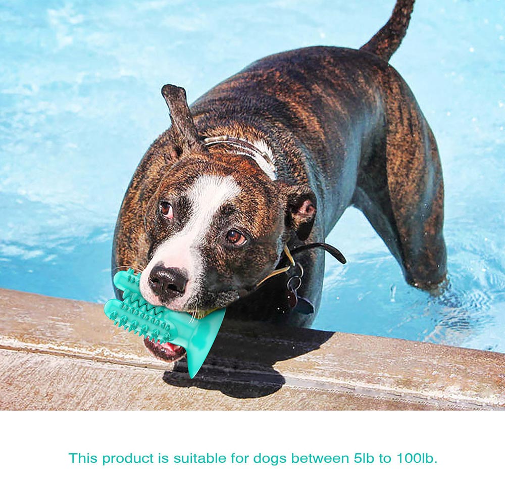 PETDURO Dog Chew Toys Indestructible Toothbrush Stick Tough Teething T