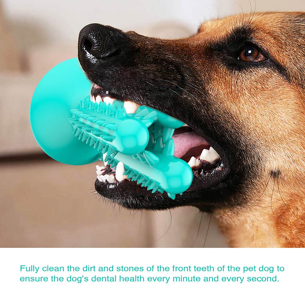 PETDURO Dog Chew Toys Indestructible Tough Dental Teething Toys with Rubble Suction Cup