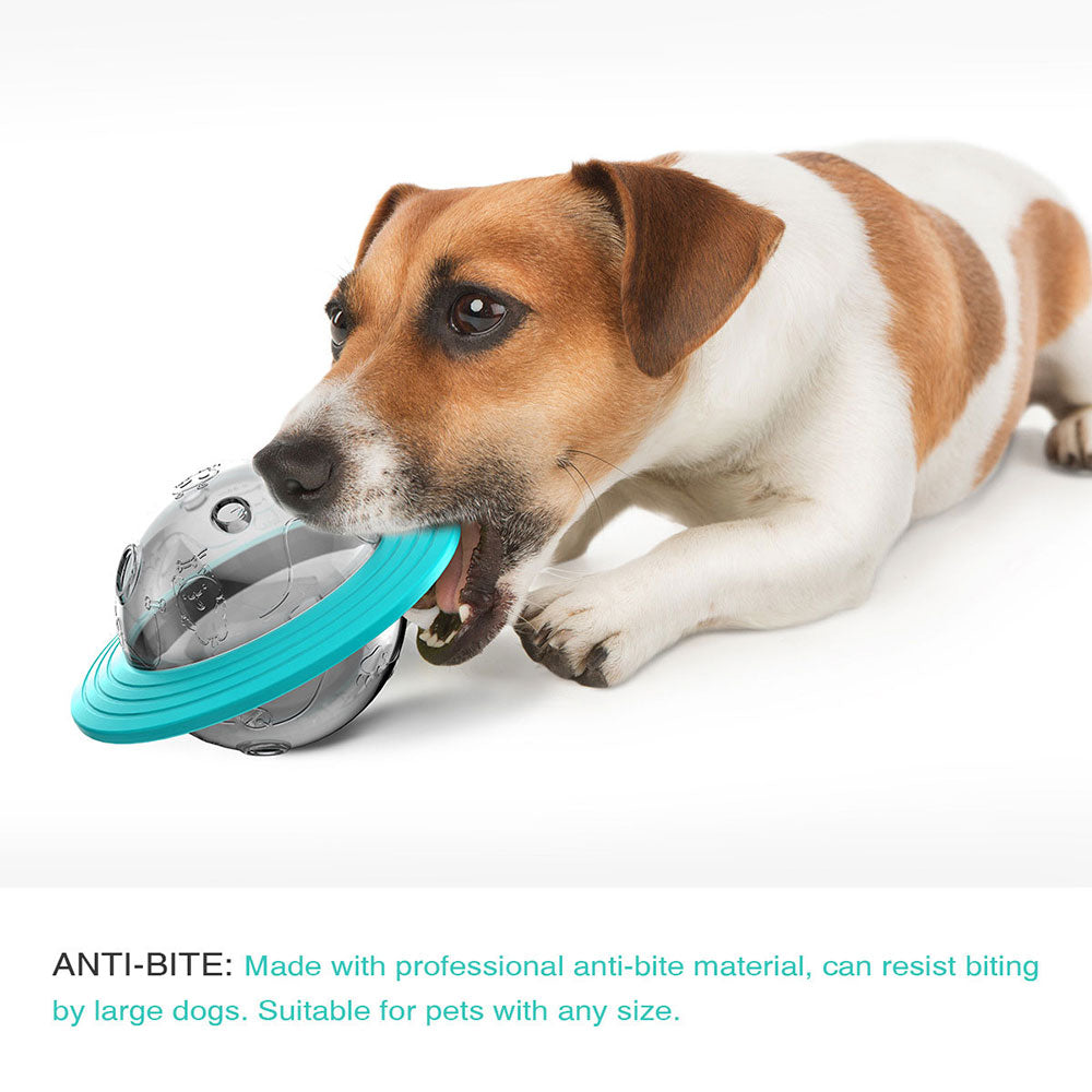 Interactive Treat Leaking Toy for Small Dogs Original Slow Dog