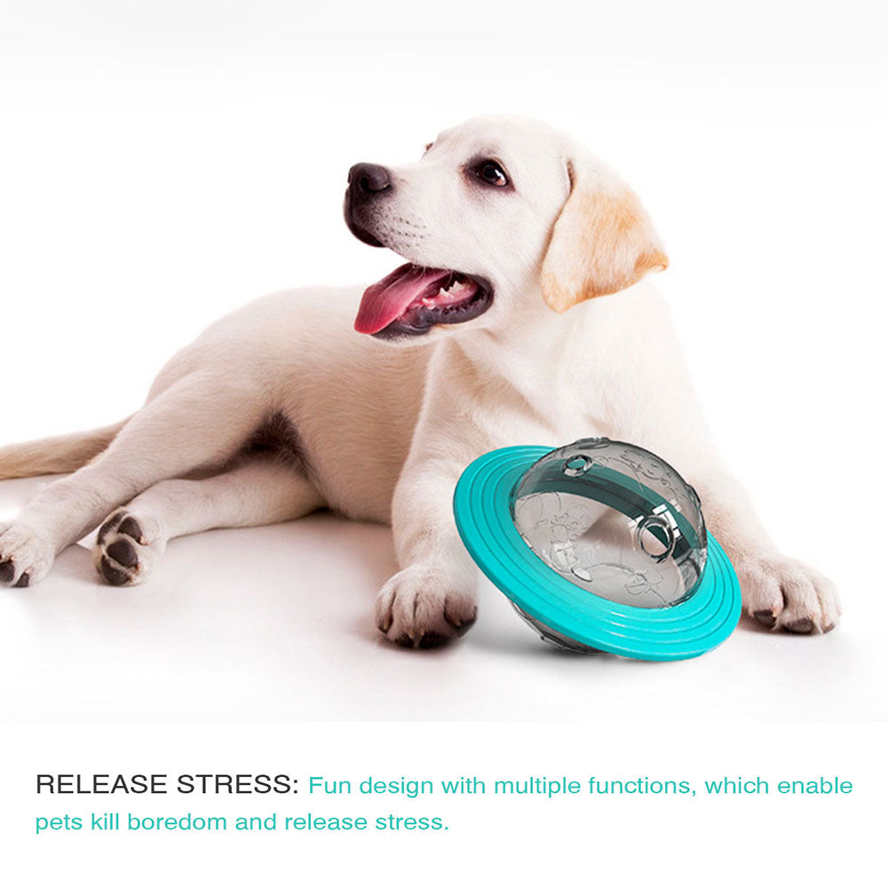 Dog Puzzle Slow Feeder Plate, Plastic Dog Food Bowl, Slow Feeder Dog Food  Treat Dispenser Toy, Interactive Dog Training Toy Enrichment Gift - Temu