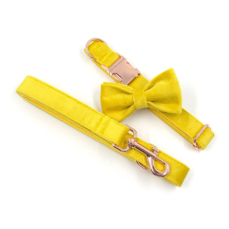 personalized dog collar set