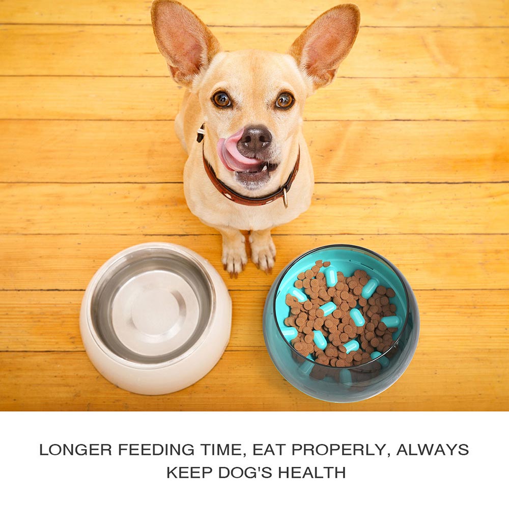 Gamelle pour chien PETDURO, distributeur d'aliments lents pour petites et moyennes races, labyrinthe et puzzle