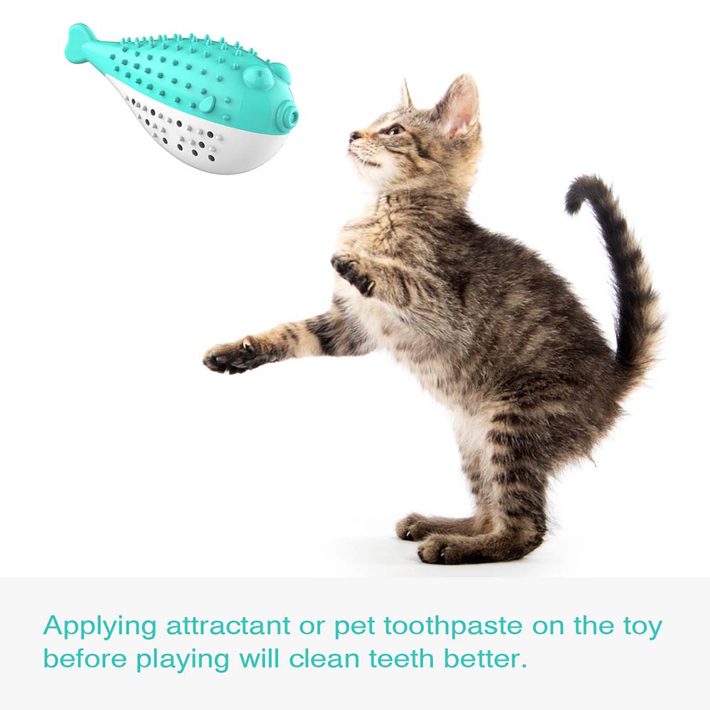 PETDURO Dog Chew Toys Indestructible Toothbrush Stick Tough Teething Treat Toys Bundle