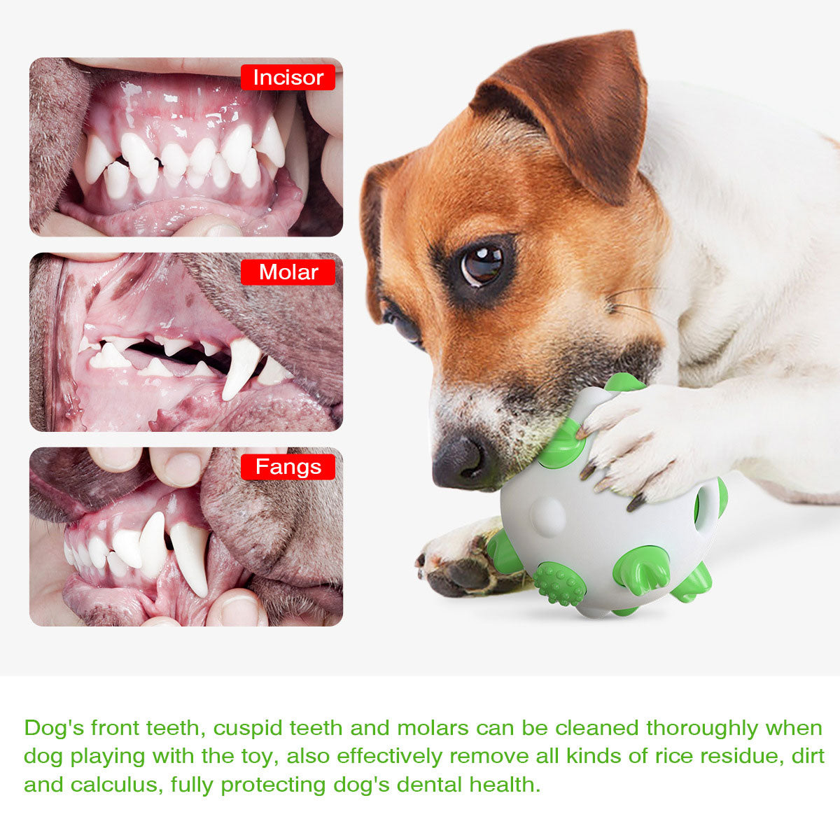 PETDURO Dog Chew Toys Dental Teething Ball for Aggressive Chewers Small Medium Large Breed