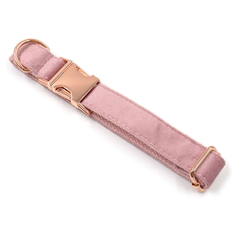 customized dog collar champagne pink velvet