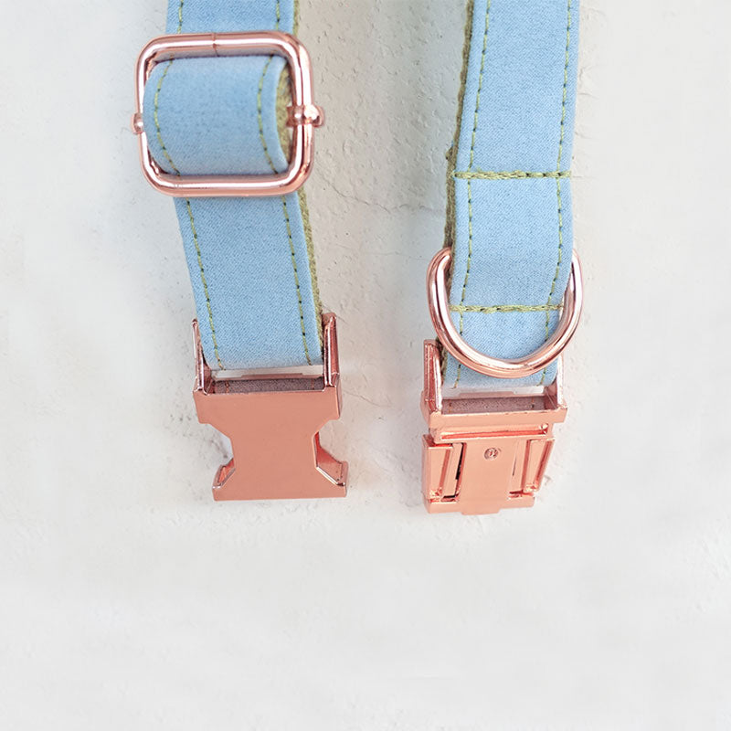 personalized dog collar for boy dogs