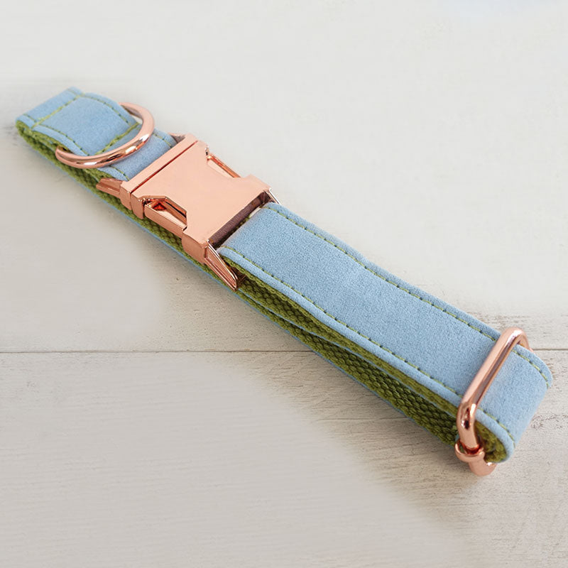 customized dog collar for boy dogs