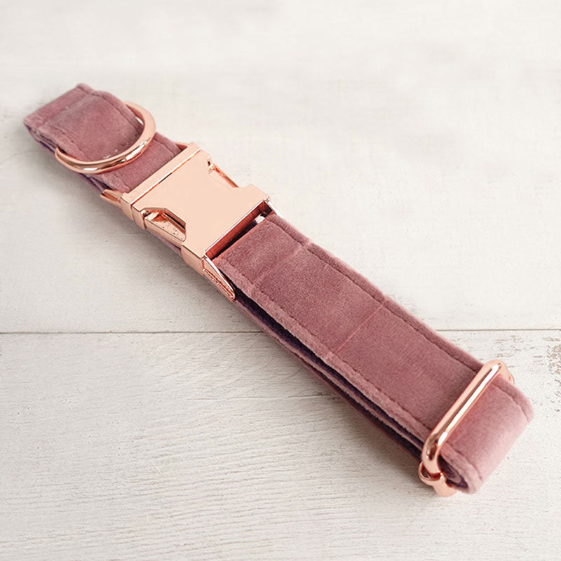 heavy duty dog collar personalized