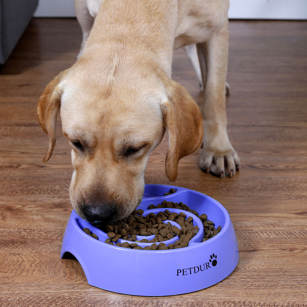 Mighty Paw Slow Feed Dog Bowl Insert  Interactive Puzzle Maze Feeder for  Fast Eaters. 
